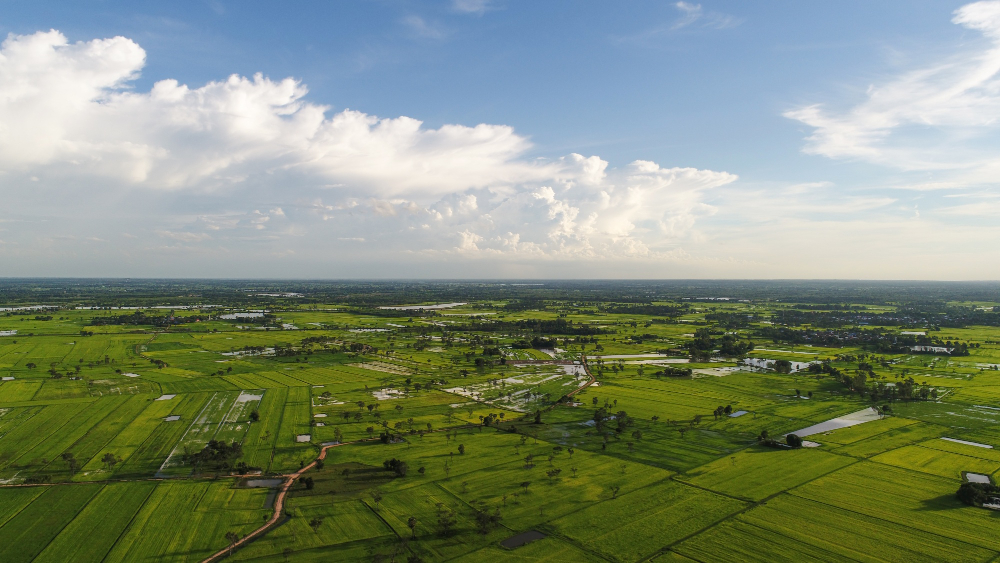 Farmland Channapatna vs. Managed Farmland Mysore Roadvs. Kanakapura Road: Which South