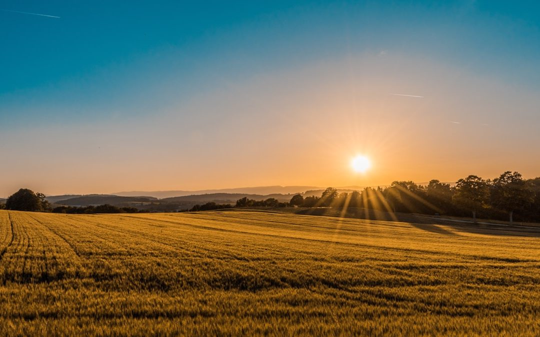 Why Managed Farmland is the New Real Estate