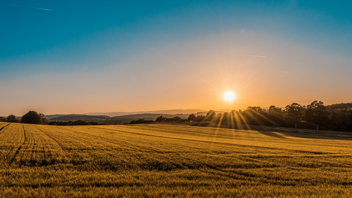 Why Managed Farmland is the New Real Estate