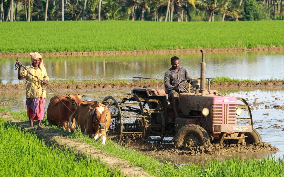 The Triple-Source Water Advantage
